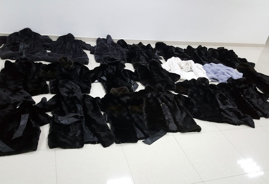 Külli miqdarda malların gömrük sərhədindən gizlədilərək keçirilməsi cəhdinin qarşısı alınıb