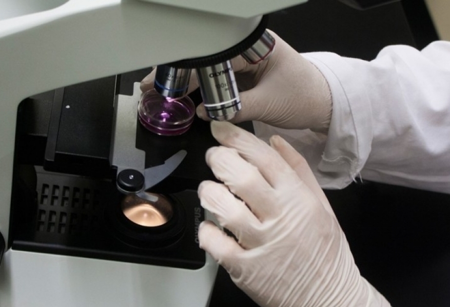 Xərçəng xəstəliyinə qarşı nanorobotlar yaradılıb