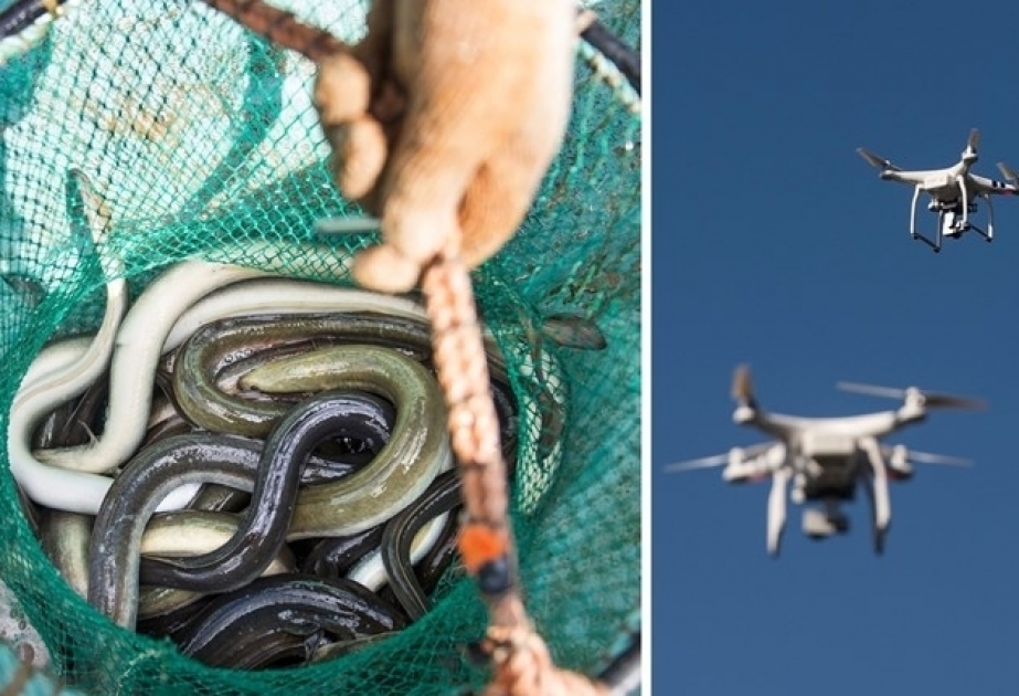 İsveçdə brakonyerlərlə mübarizədə dronlardan istifadə ediləcək
