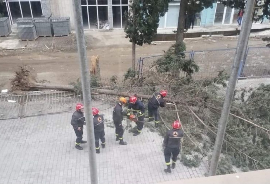 Güclü külək və qasırğa Gürcüstanda ciddi problemlər yaradıb