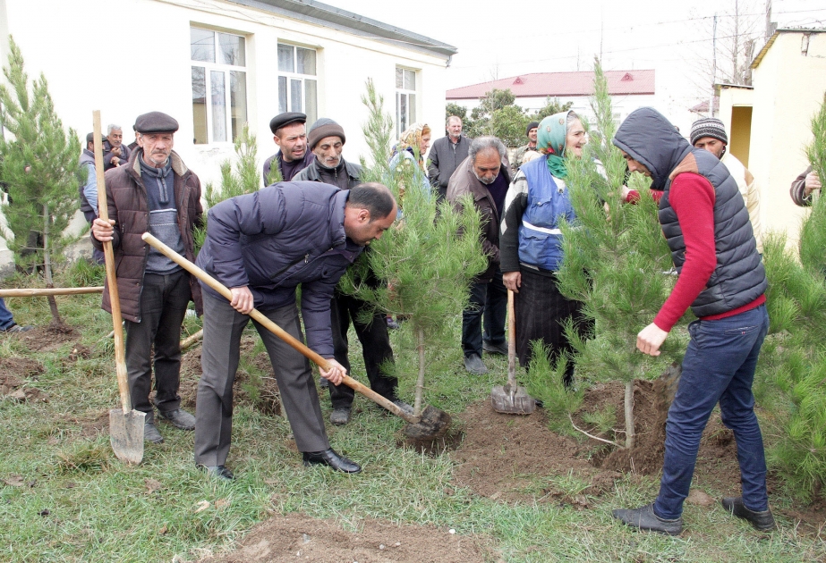 Ağdamda keçirilən növbəti ağacəkmə aksiyasında 1080 ədəd ting əkilib
