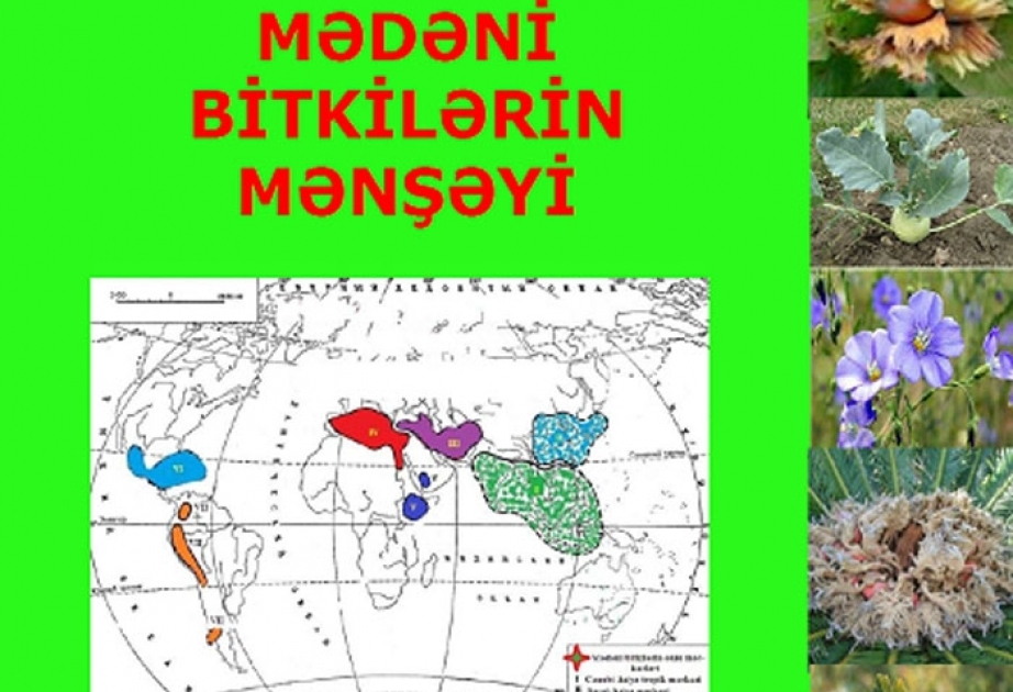 “Mədəni bitkilərin mənşəyi” dərsliyi ilk dəfə Azərbaycan dilində çapdan çıxıb