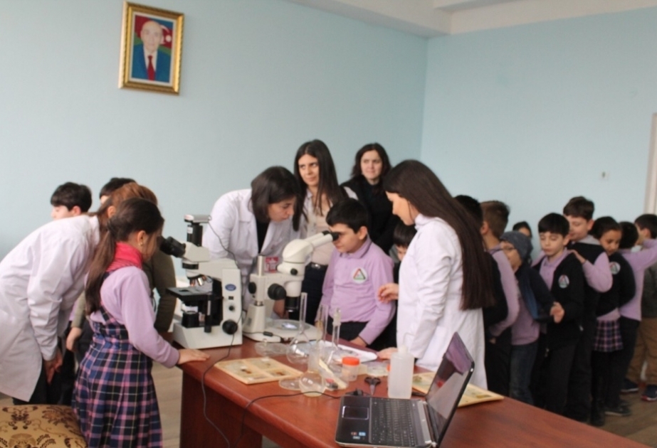 Zoologiya İnstitutunda mikroskopla təcrübi dərslər davam edir