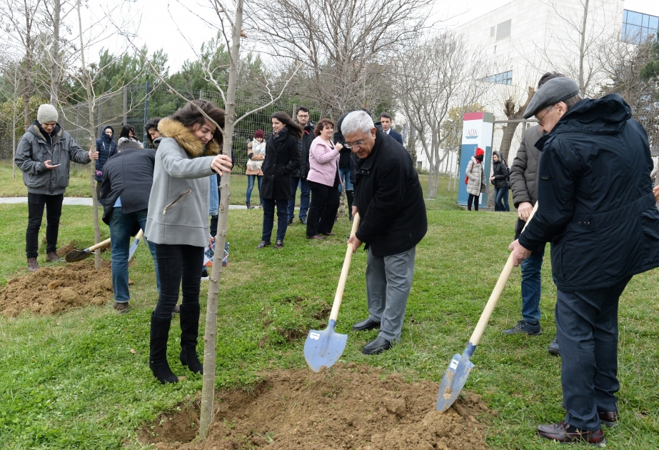 Bakıdakı Dədə Qorqud parkında Novruz bayramı ilə əlaqədar ağacəkmə aksiyası keçirilib