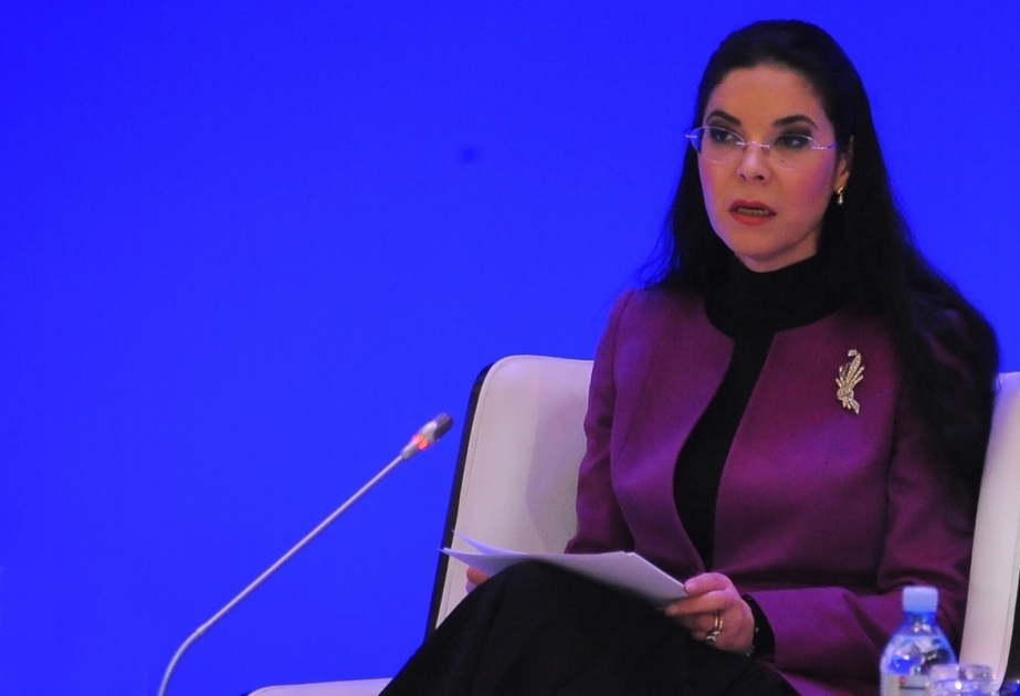 Ana Birçall: Rumıniya Azərbaycan ilə tərəfdaşlığa sadiqdir