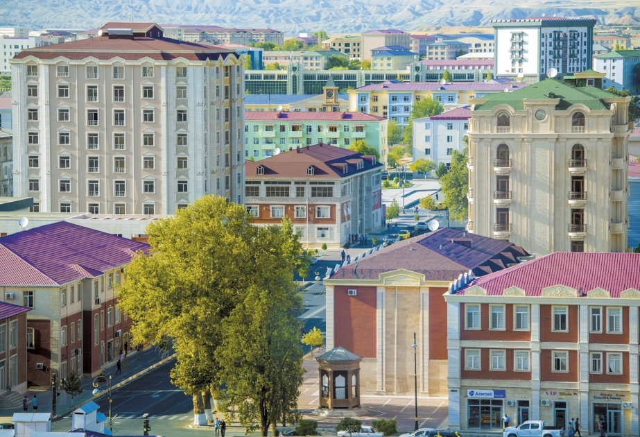 Azərbaycan və Naxçıvan üçün tarixi əhəmiyyət kəsb edən sənəd: Moskva müqaviləsi