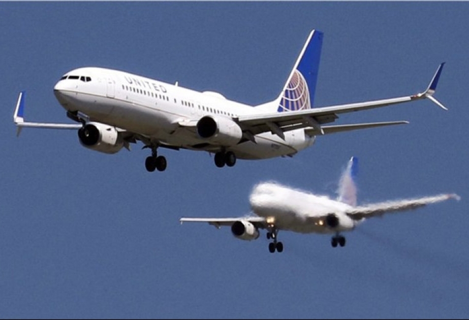 United Airlines hat wieder Tierprobleme