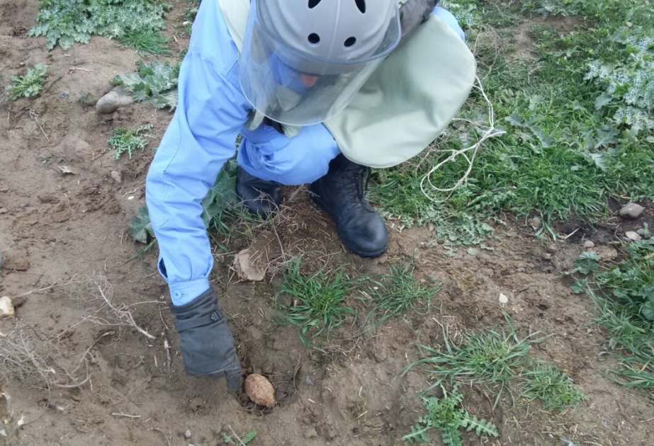 Goranboyun Veyisli qəsəbəsində bir ədəd əl qumbarası tapılıb