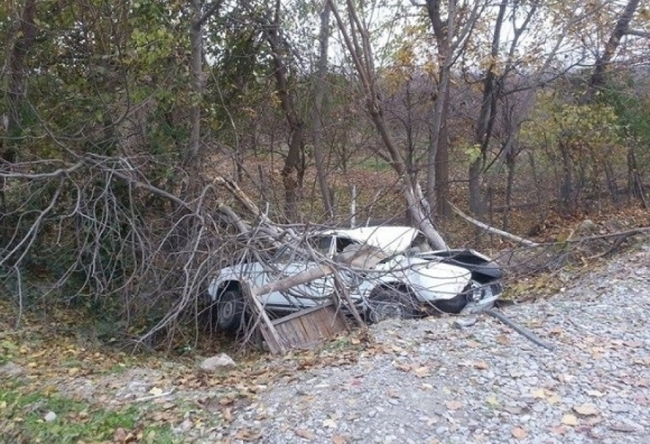 FHN: Şəkidə minik avtomobilinin ağaca çırpılması nəticəsində iki nəfər ölüb