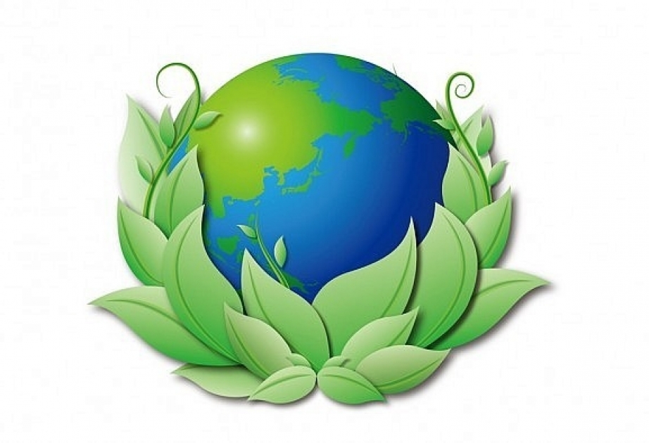 20 марта – Всемирный день Земли