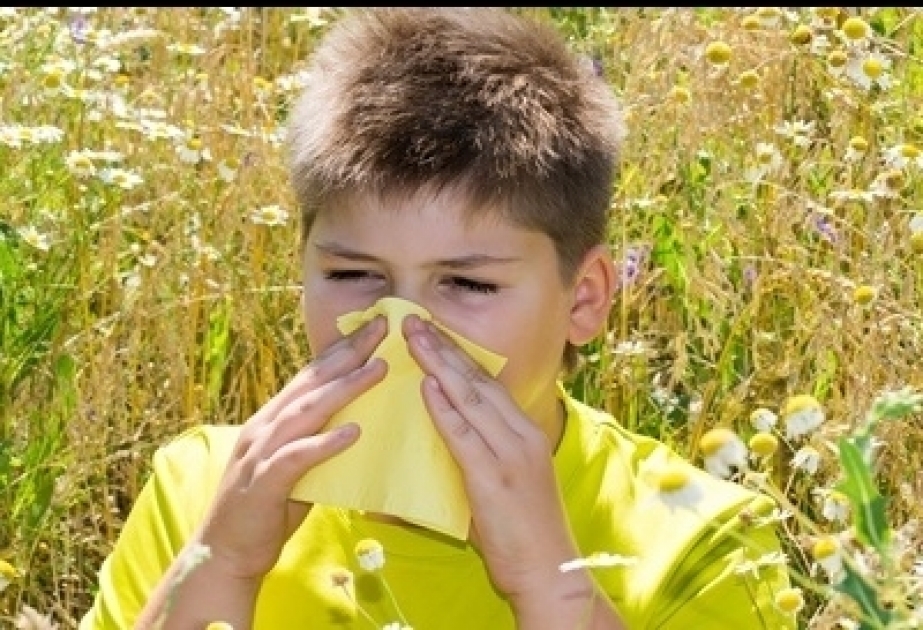 Allergik rinitin yaranma səbəbi nədir?