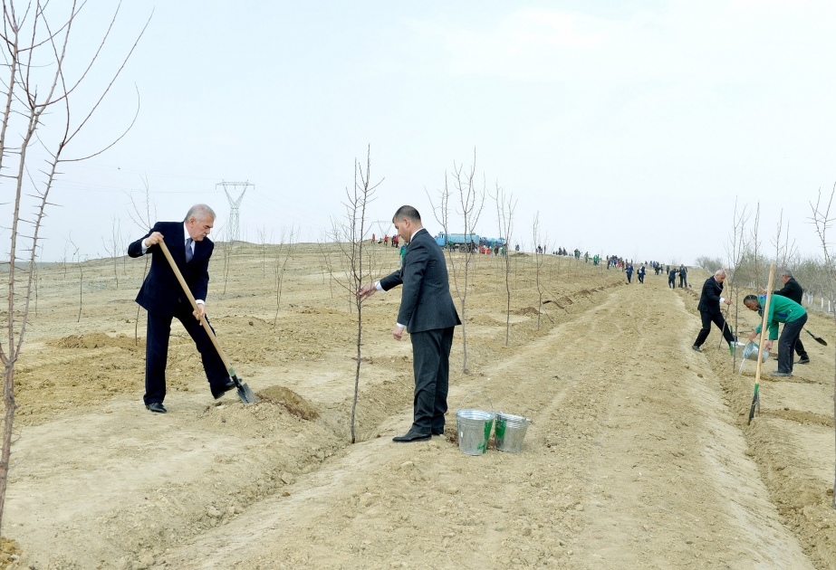 Naxçıvanda Novruz iməciliyi keçirilib