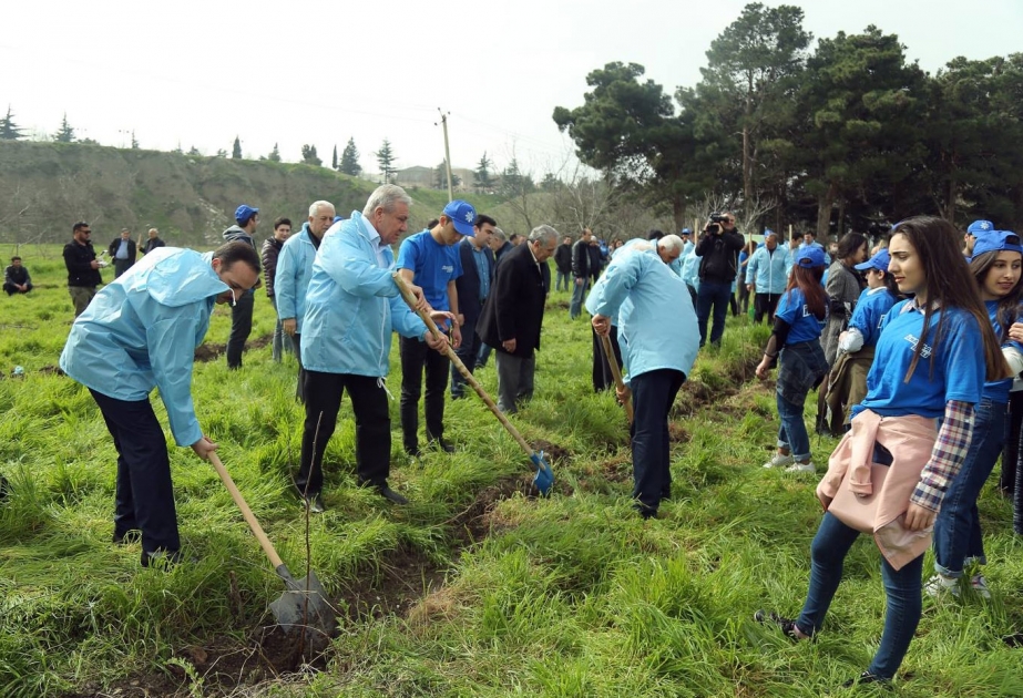 Gəncədə “700 min ağac əkək” kampaniyası çərçivəsində bir gündə 2500 xurma ağacı əkilib