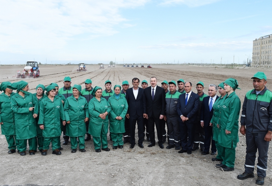 Le président Ilham Aliyev a visité le champ de coton du fermier Moussa Gouliyev à Barda VIDEO