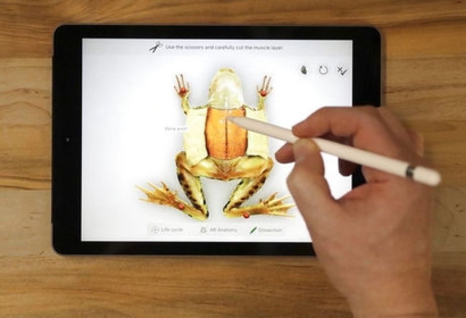 Apple представила обновленный iPad
