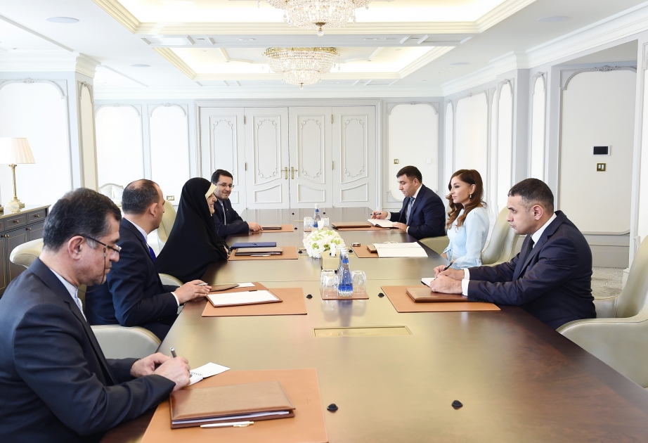 First Vice-President Mehriban Aliyeva met with Iranian Vice-President for Women and Family Affairs