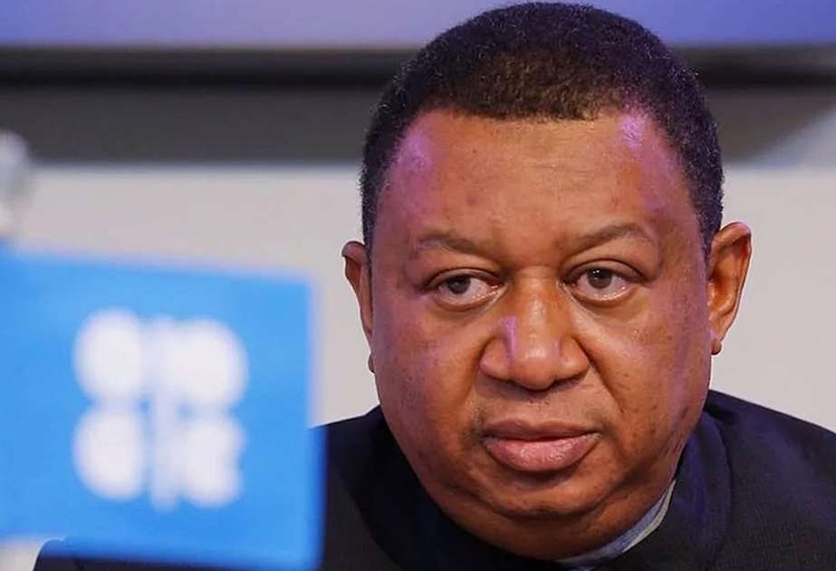 OPEC neft ixracatçıları ilə uzunmüddətli sazişə can atır