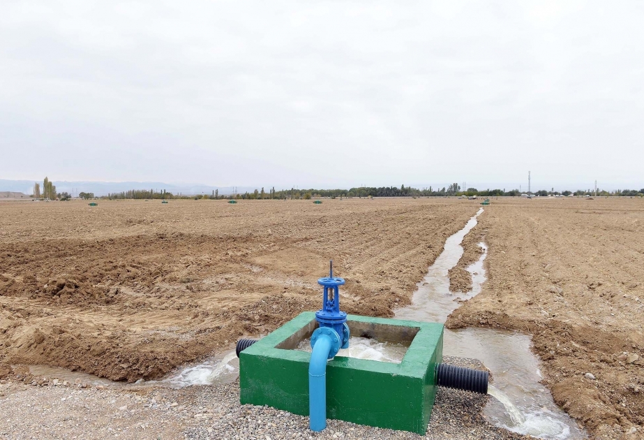 Siyəzən rayonunda 7 min hektara yaxın suvarılmayan sahə ilk dəfə su ilə təmin olunub VİDEO