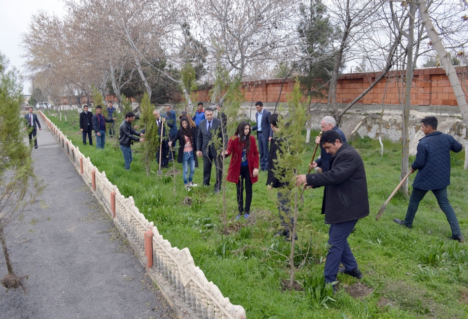 Laçınlı məcburi köçkünlər Taxtakörpü ərazisində 4 min ədəd ağac əkiblər