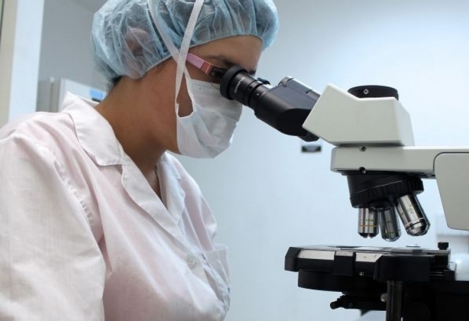 Scientists discover new human organ hiding in plain sight