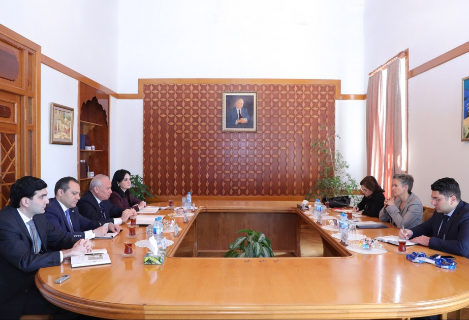 Chairman of Azerbaijan’s Constitutional Court meets with OSCE/ODIHR observation mission head