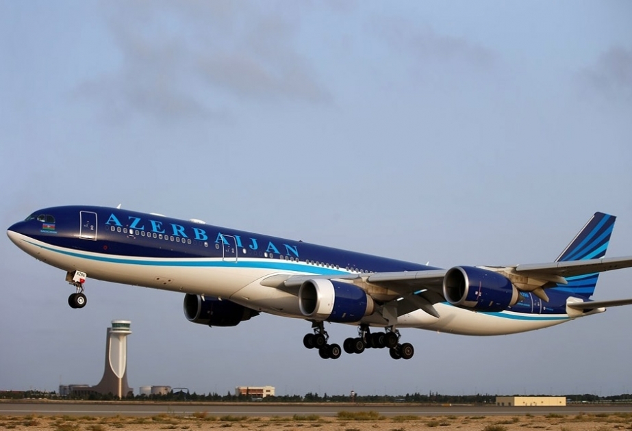 Из-за столкновения с птицей самолет, вылетевший из Баку в Нахчыван, вернулся в аэропорт