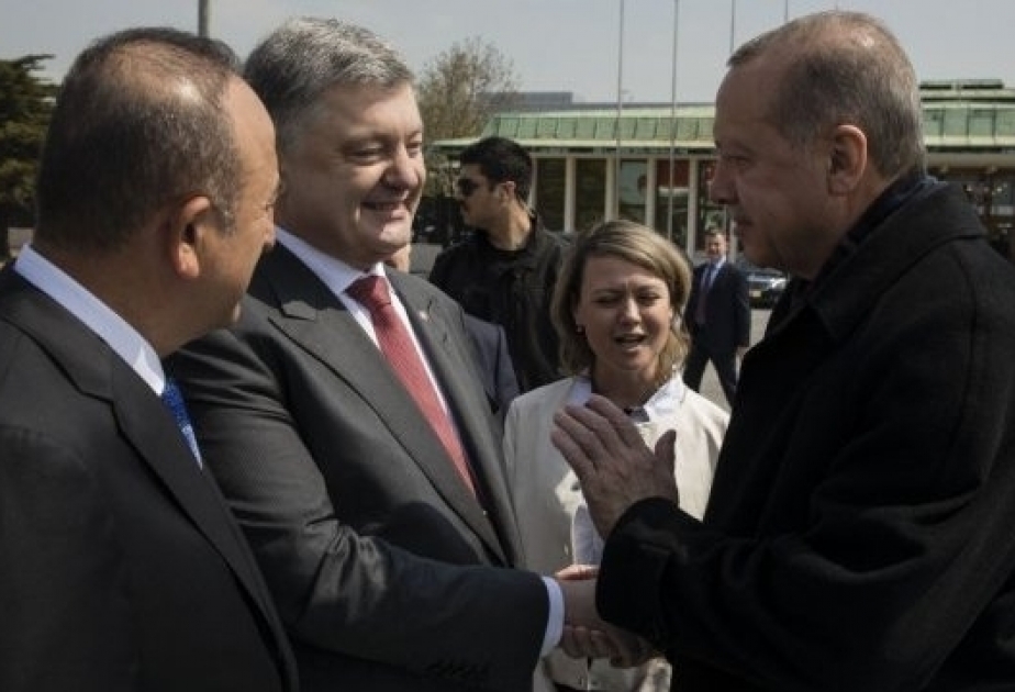 Ukrayna və Türkiyə birgə enerji layihələrində iştirak etmək niyyətindədir