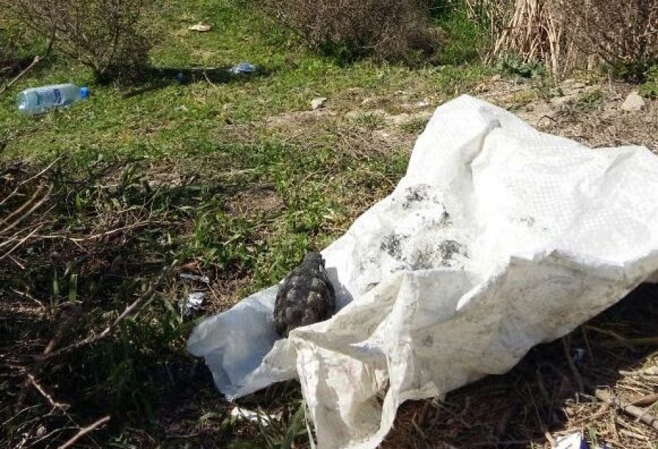 Sumqayıtda əl qumbarası aşkarlanıb