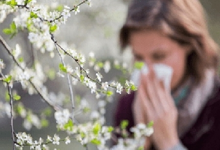 Yaz allergiyası əsasən ağacların tozlanması nəticəsində əmələ gəlir