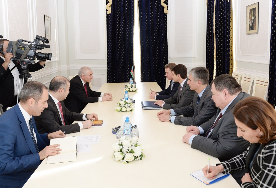 Ukrayna nümayəndə heyəti Azərbaycanda prezident seçkilərinə hazırlıq işləri barədə məlumatlandırılıb