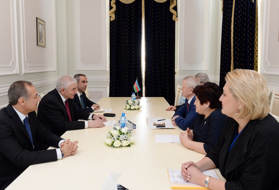 Head of delegation of Russian Federal Assembly hails preparations for Azerbaijani presidential elections
