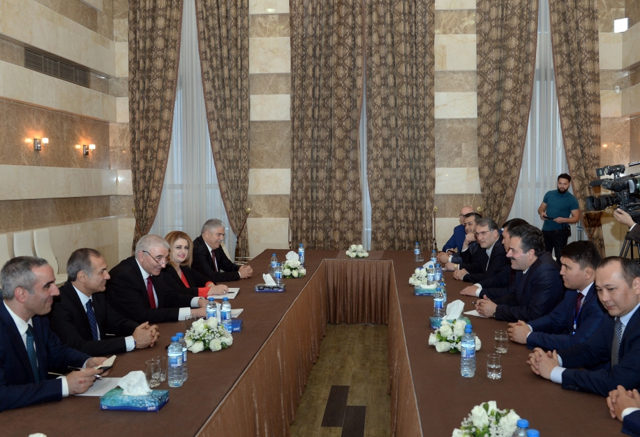Хaлук Ипек: Верим, что президентские выборы в Азербайджане пройдут прозрачно