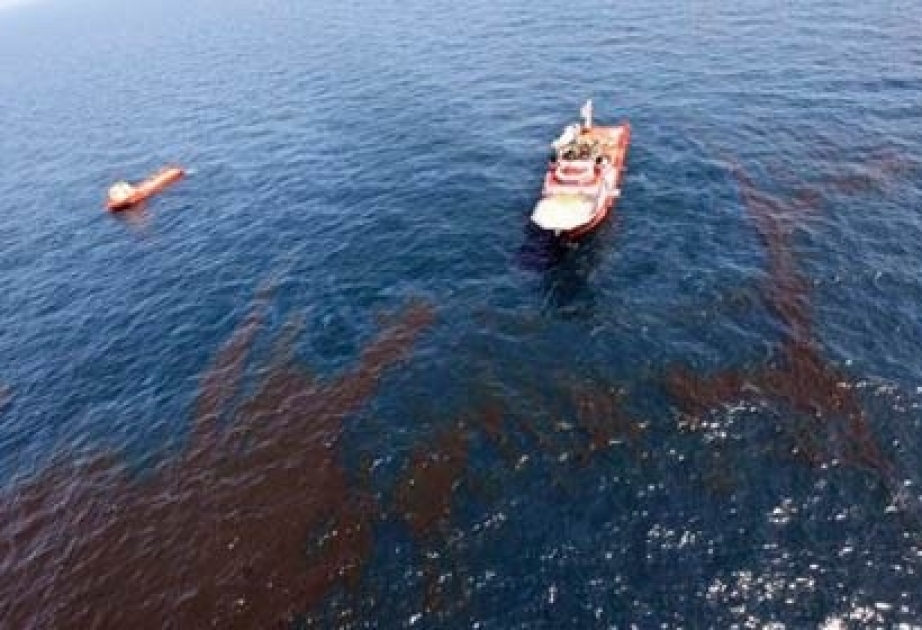 Okeanları neft sızıntısından təmizləmək üçün bakteriya hazırlanıb