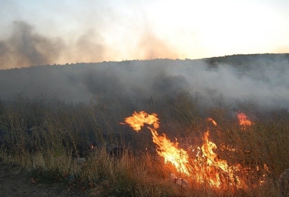 حريق نشب بمرعى يتعدى حديقة شاهداغ الوطنية في قوبا
