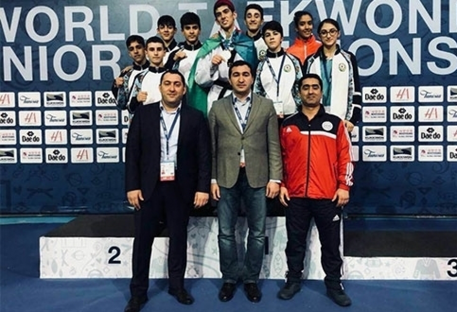 Azerbaijani taekwondo fighter crowned world champion