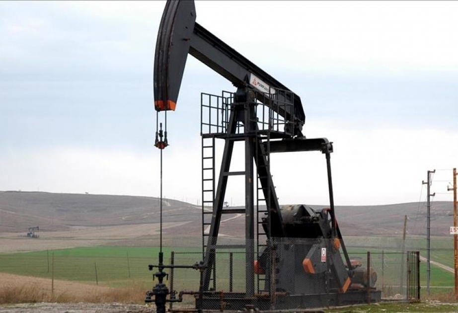 Beynəlxalq Enerji Agentliyi: Qeyri-OPEC ölkələrinin neft təklifi bu il gündəlik 1,8 milyon barrel artacaq