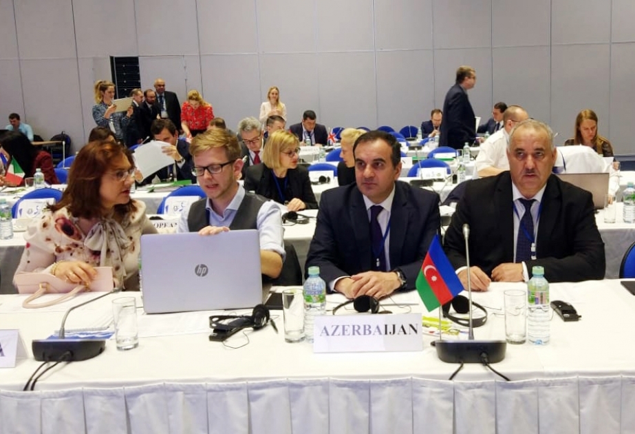 Azərbaycanın Ümumdünya Gömrük Təşkilatının Maliyyə Komitəsində üzvlük müddəti uzadılıb