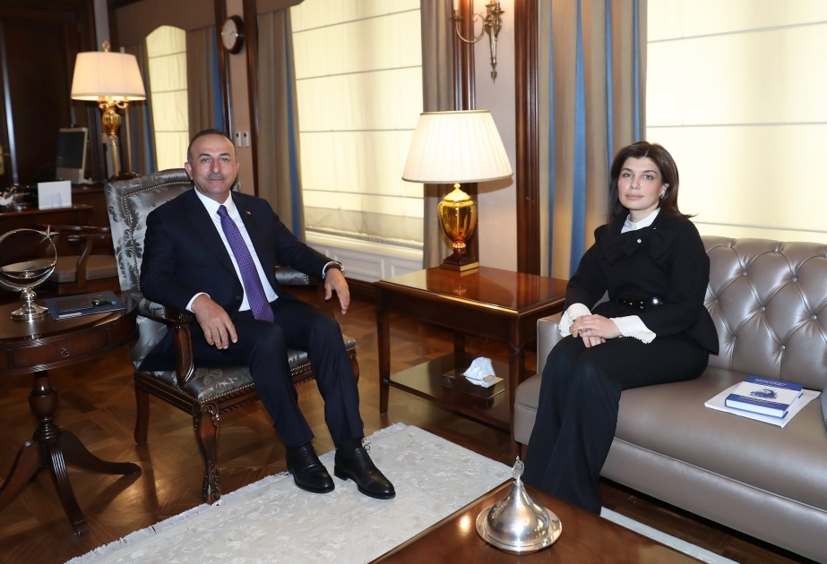 La présidente de la Fondation internationale de la culture et du patrimoine turcs rencontre Mevlut Cavusoglu