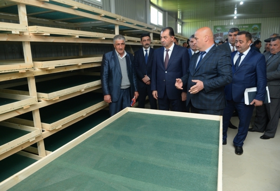 Lənkəranda baramaçılığın inkişaf perspektivləri müzakirə olunub