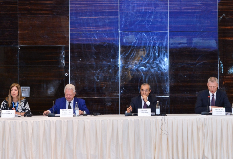 Mikayıl Cabbarov: Vergilər Nazirliyi qabaqcıl beynəlxalq təcrübənin ölkəmizin vergi sistemində tətbiqinə çalışır