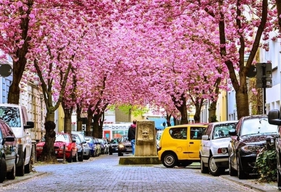 Almaniyanın “yaponsayağı” şəhəri