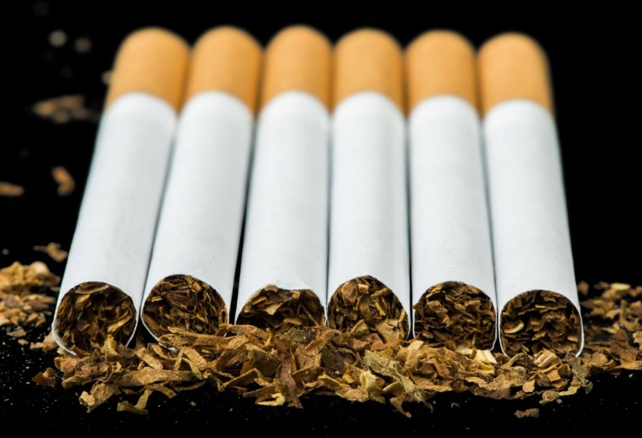 Cari ildə tütün məmulatlarının istehsalı 2,8 dəfə artıb