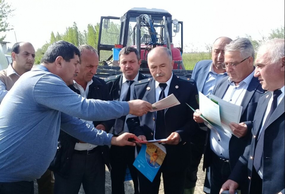 Pambıqçılıqda herbisidlərdən istifadəyə dair təlimlər keçirilir