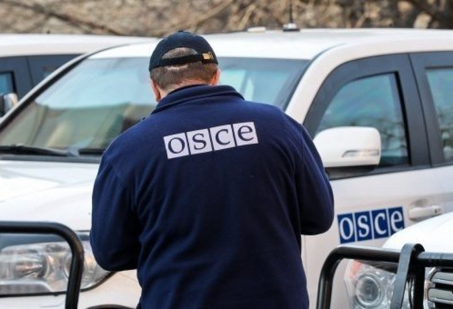 Группа в поддержку безопасности журналистов создана в ОБСЕ по инициативе Литвы