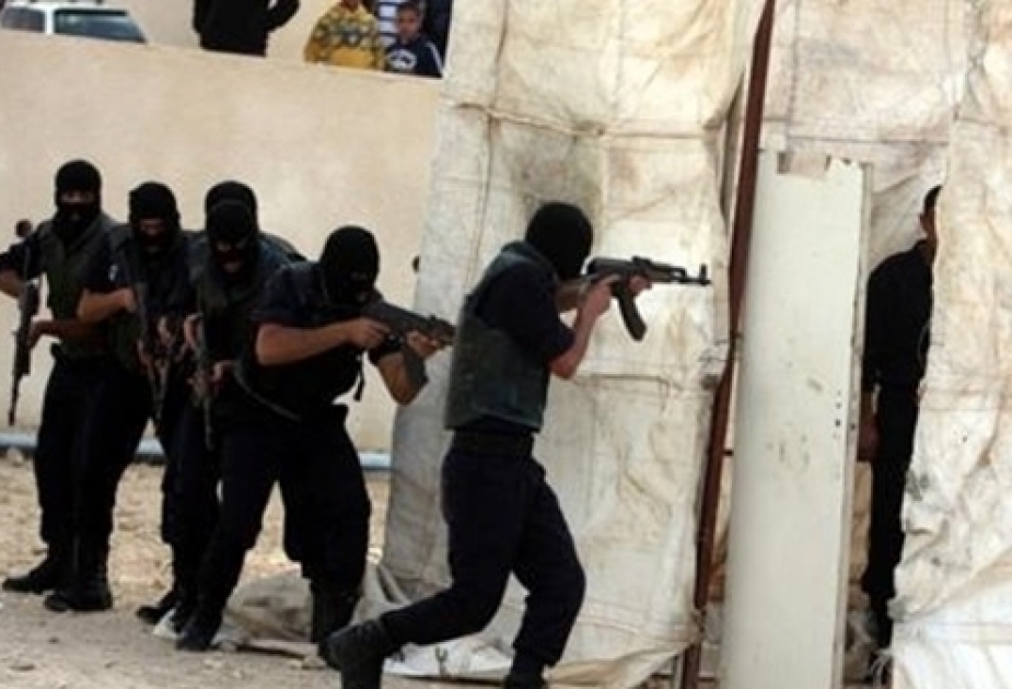Misir ordusu 30 terrorçunu məhv edib