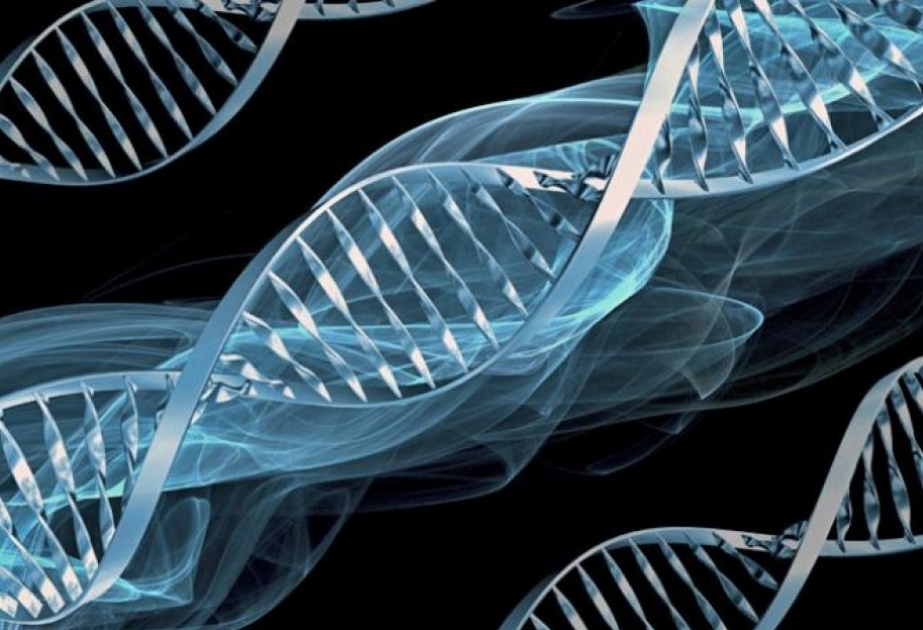Сегодня Международный день ДНК