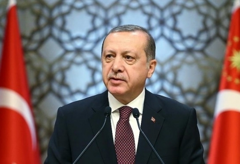 رئيس تركيا يعلن بدء تشغيل مشروع تاناب في بداية يونيو