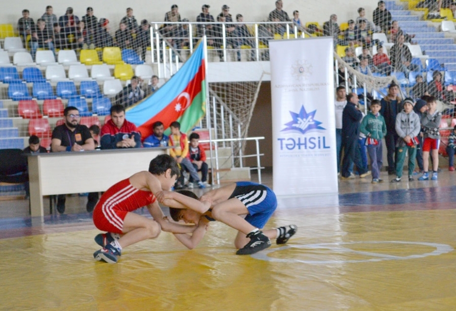 Sərbəst güləş üzrə respublika birinciliyinin qalibləri mükafatlandırılıblar