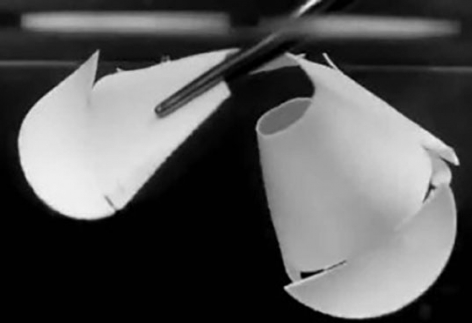 Ученые смогли напечатать самоскладывающиеся объекты на 3D-принтере