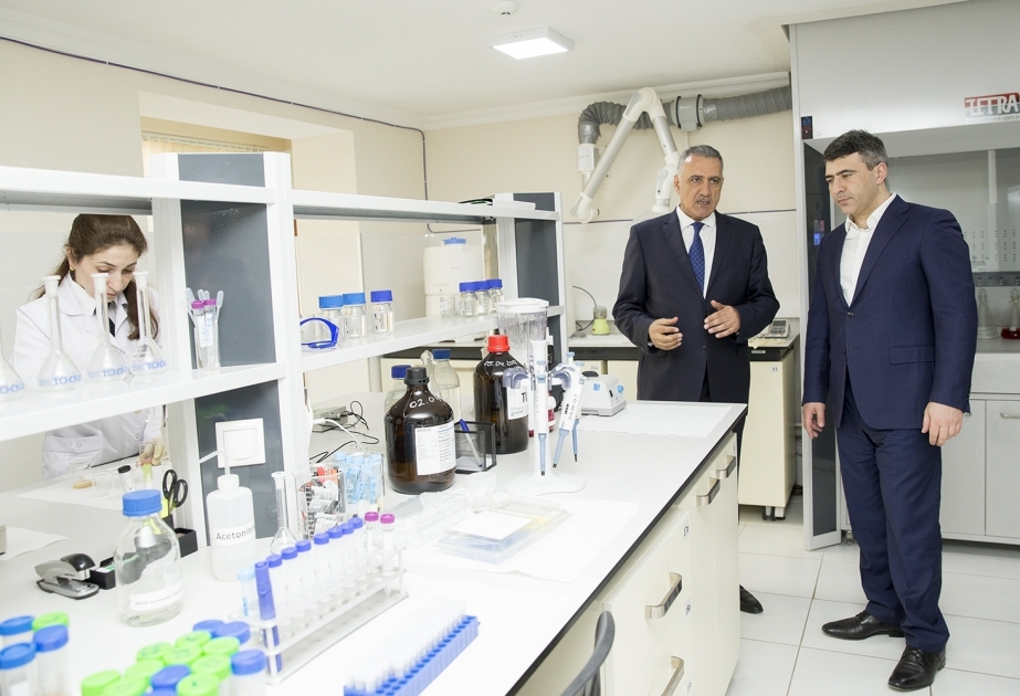 İnam Kərimov Kənd Təsərrüfatı Nazirliyinin bir sıra müəssisələrinin fəaliyyəti ilə tanış olub